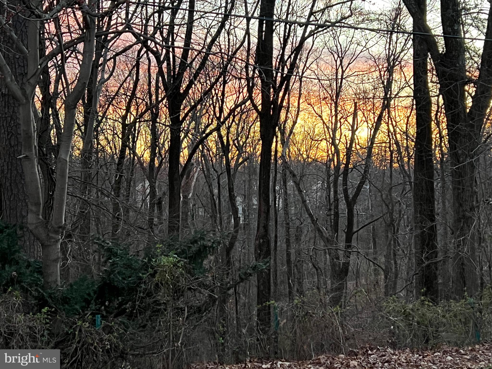 LONGRIDGE AT BELAIR - Residential