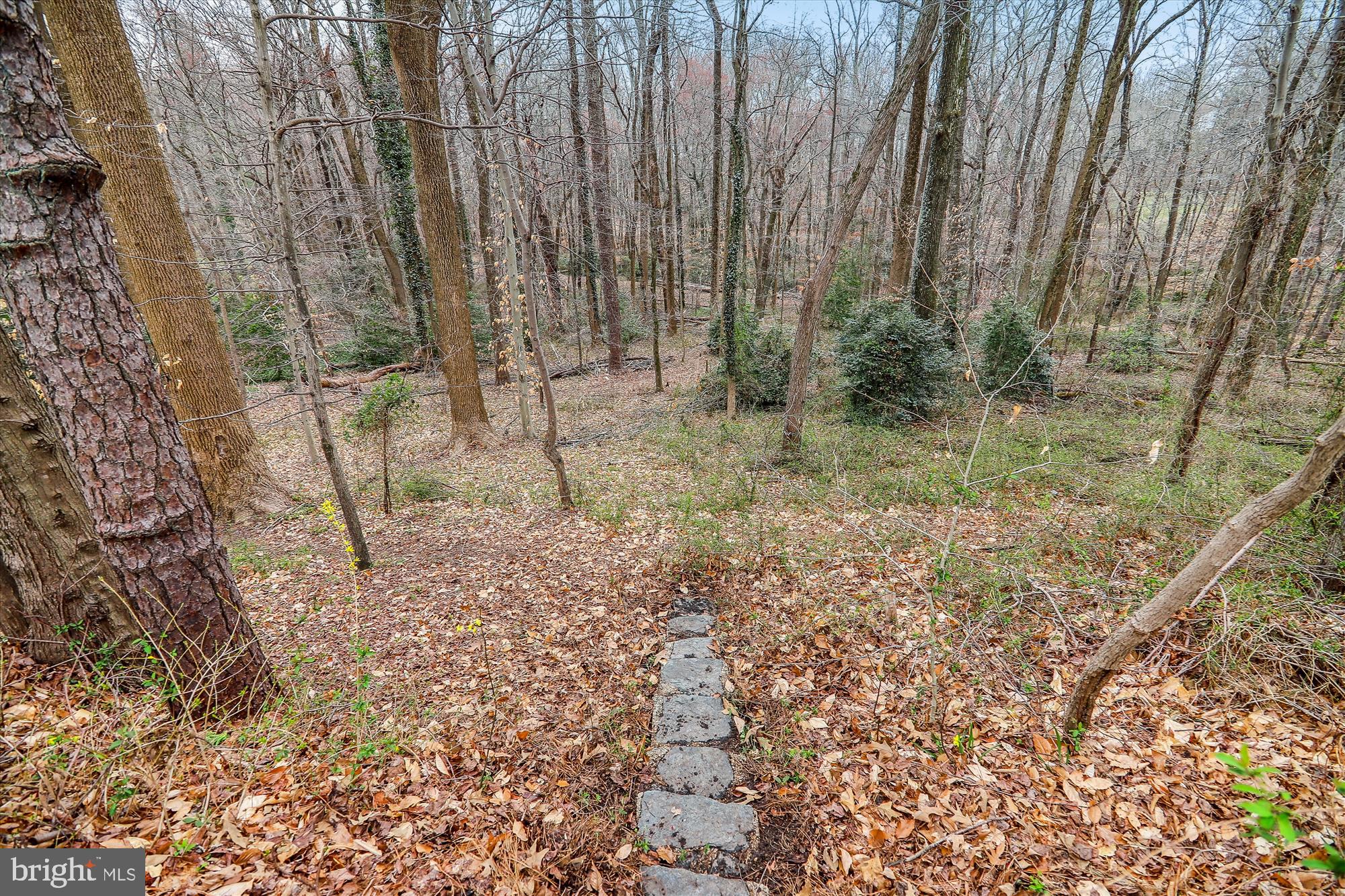 LONGRIDGE AT BELAIR - Residential