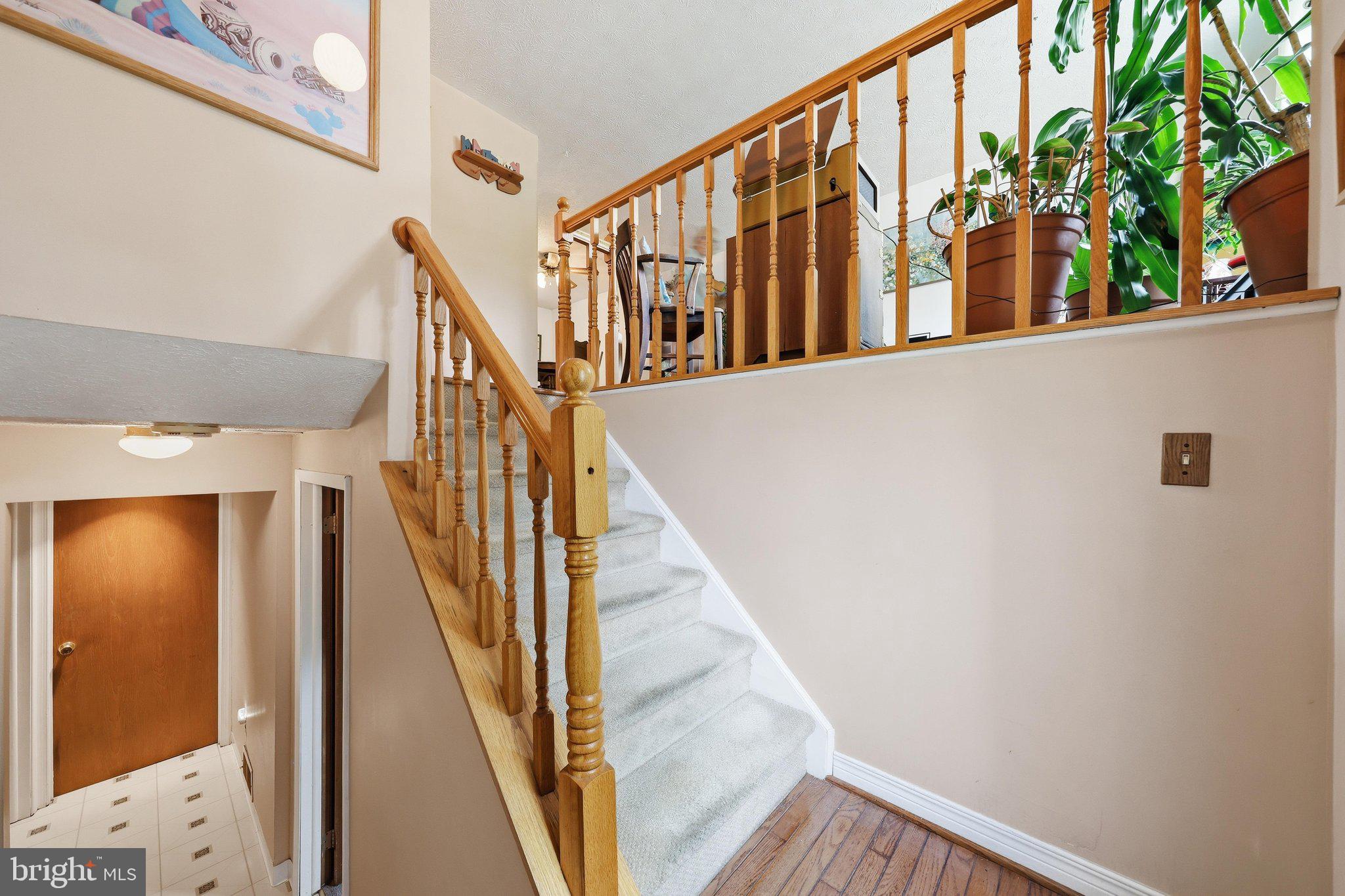 1595 ELMWOOD COURT