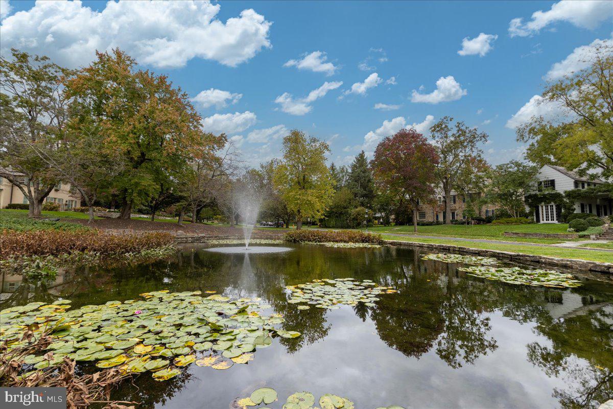 HOMELAND HISTORIC DISTRICT - Residential