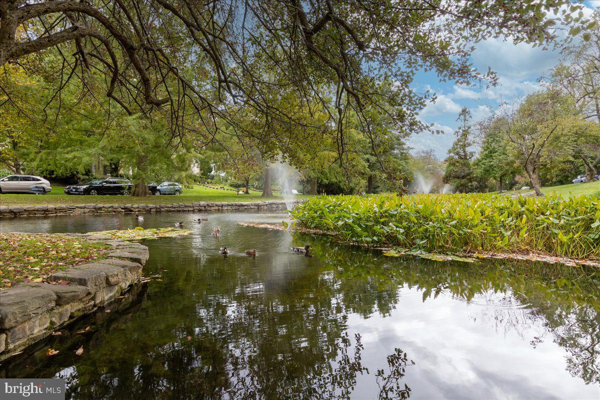 HOMELAND HISTORIC DISTRICT - Residential