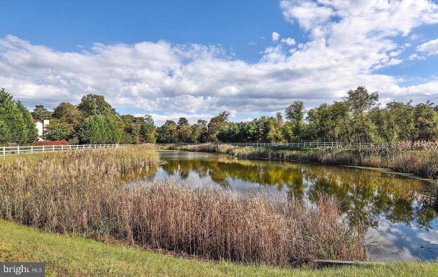 FARMINGTON VILLAGE - Residential