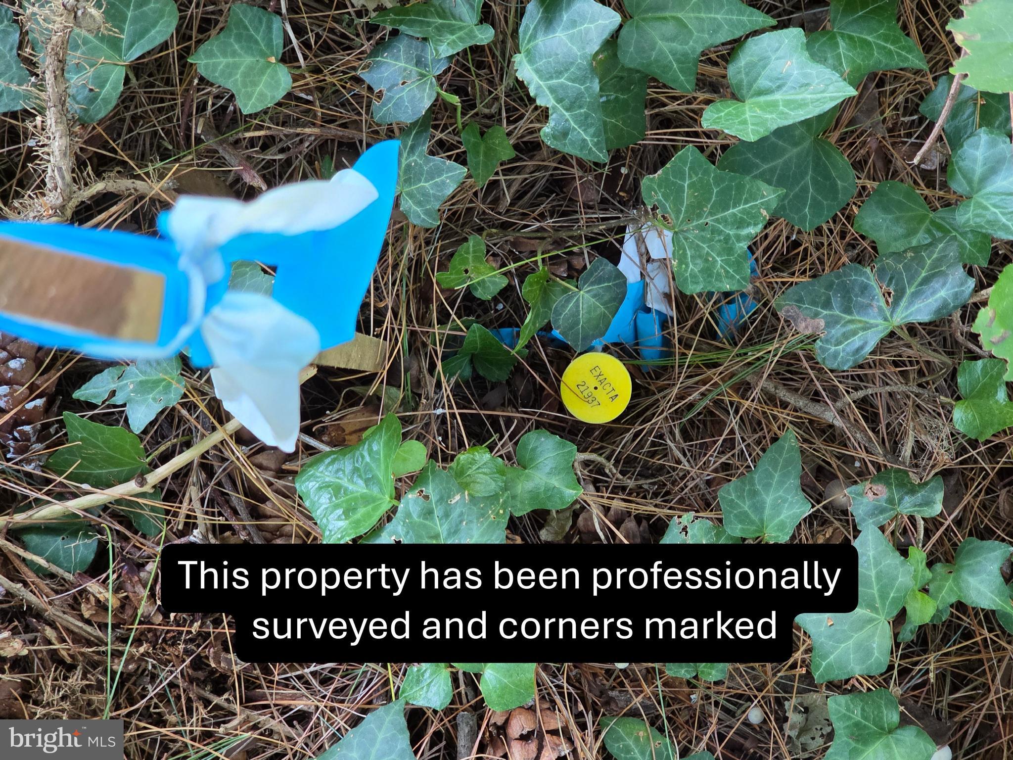 2726 SOLOMONS ISLAND ROAD