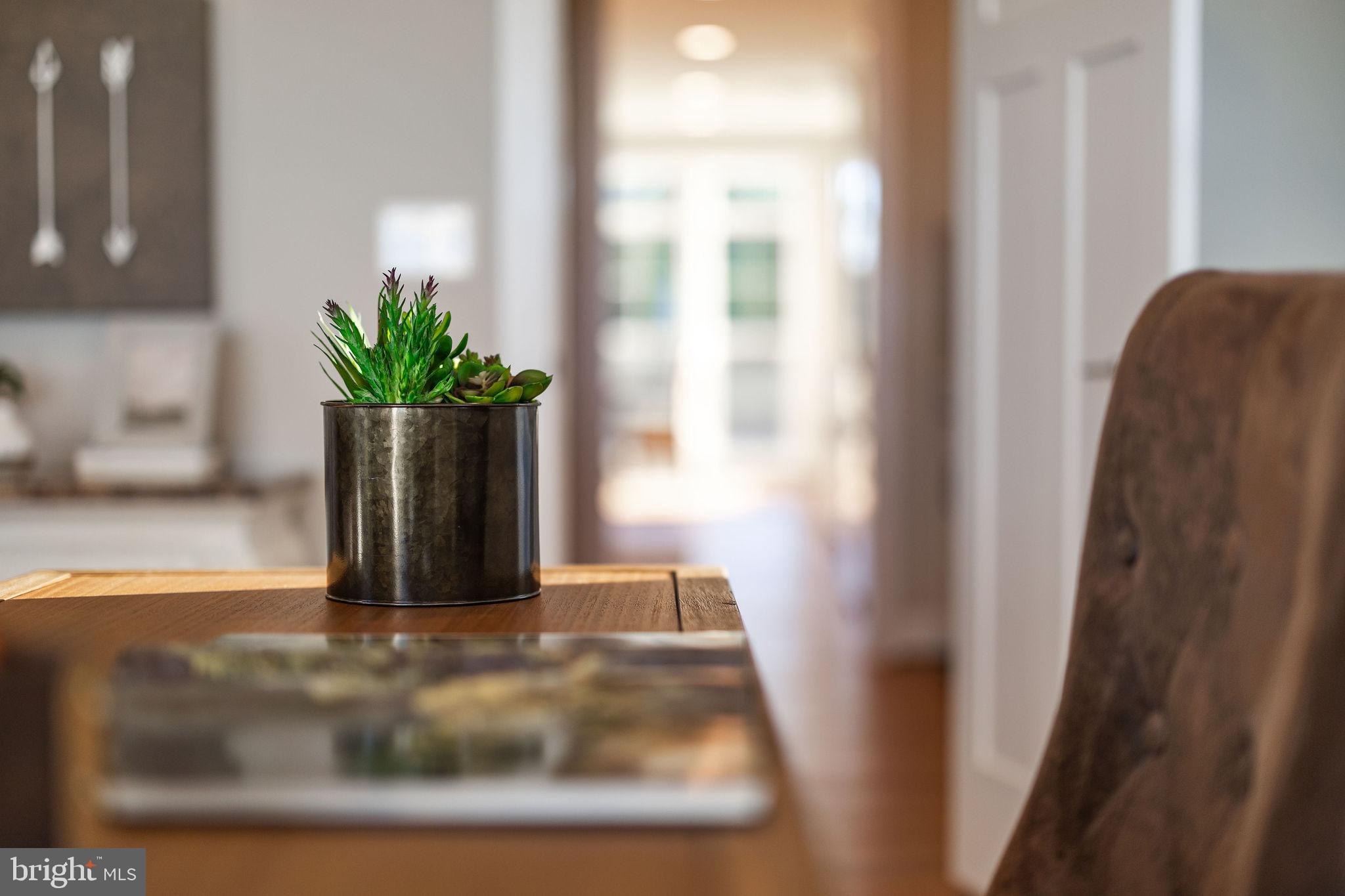 PATENT HOUSE - Residential