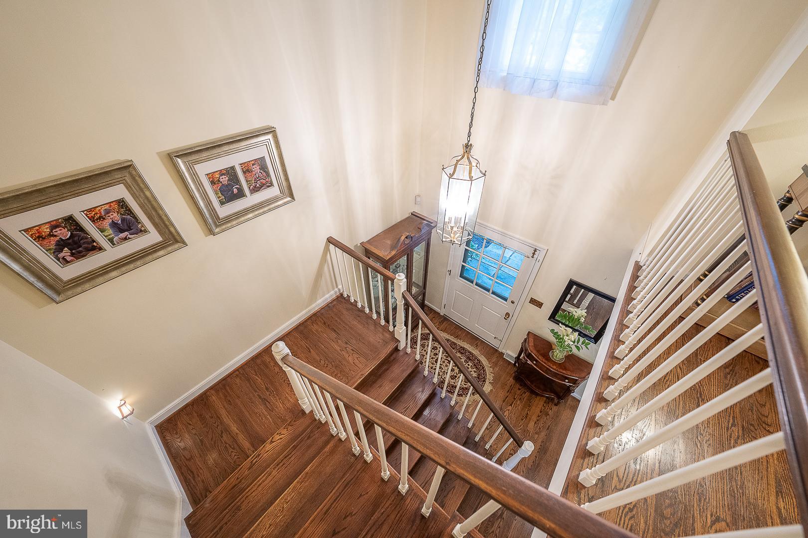 RADNOR HUNT - Residential