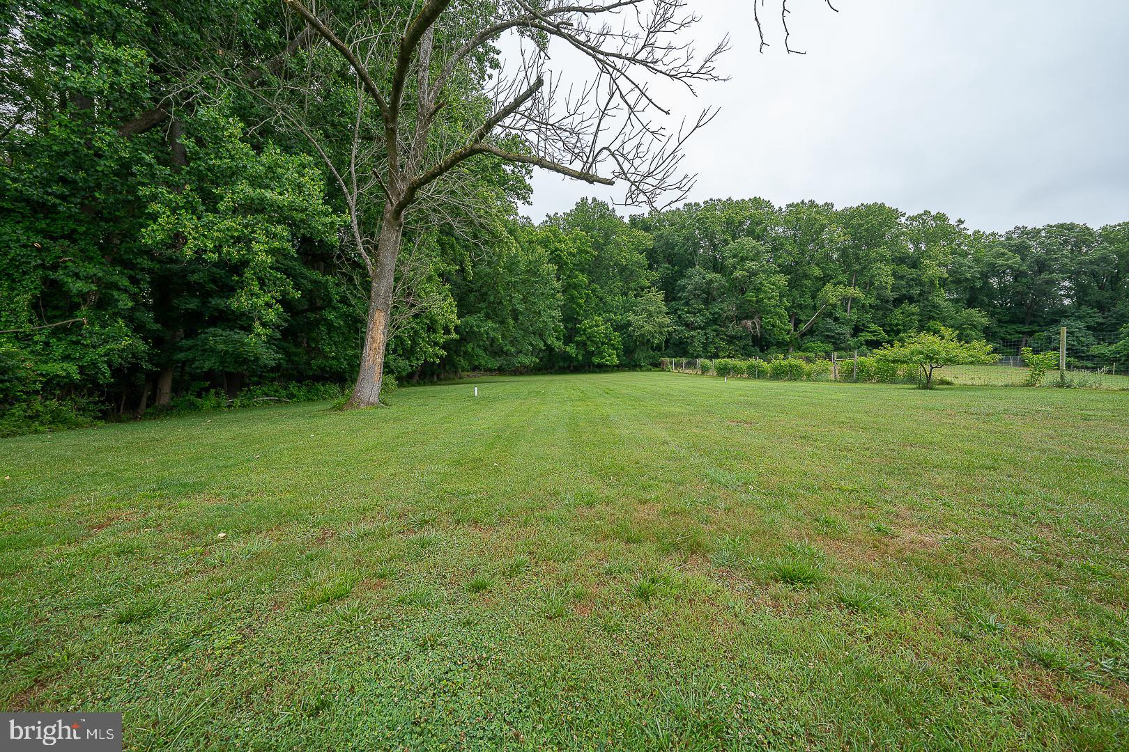 RADNOR HUNT - Residential