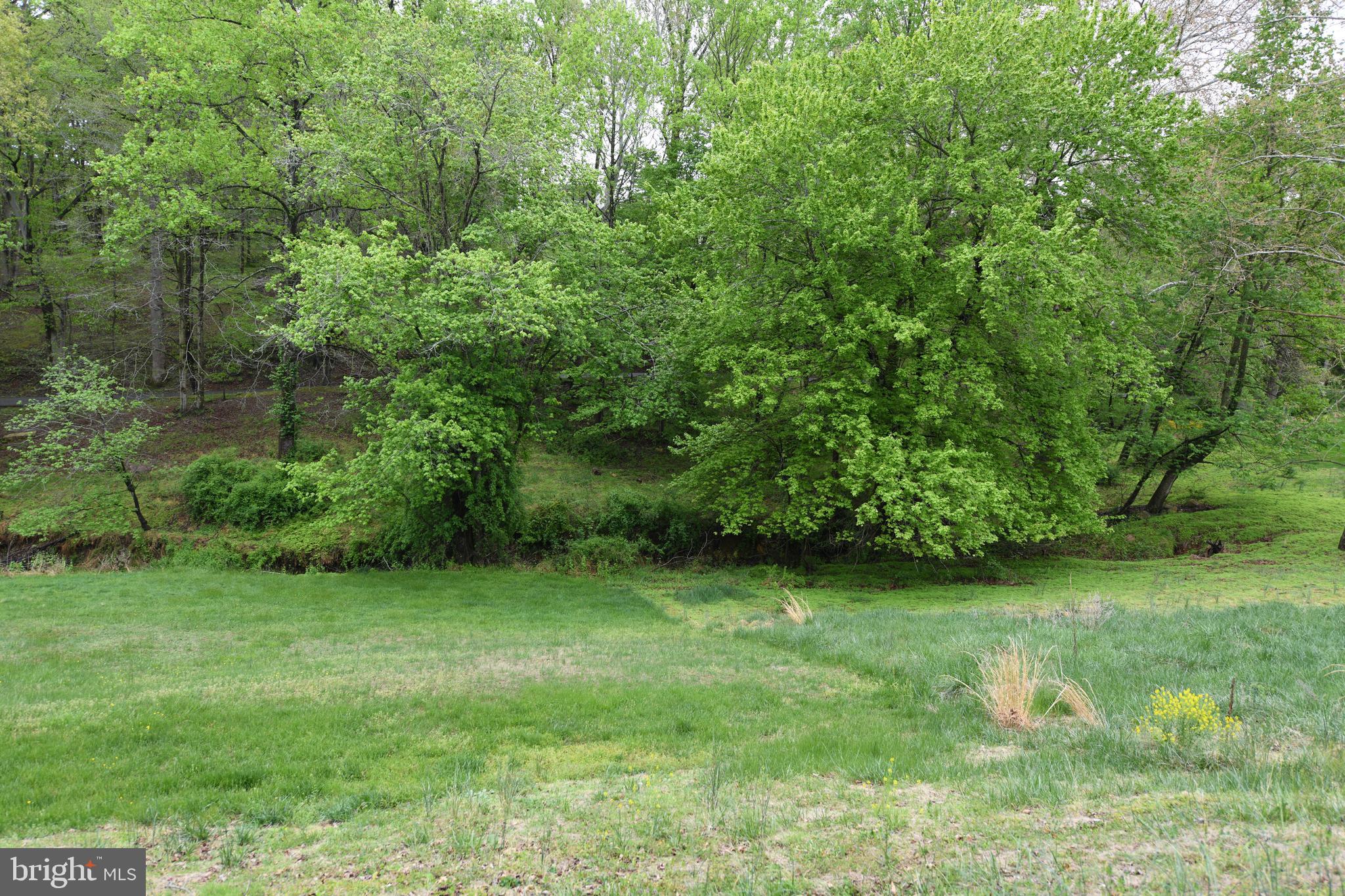 COUNTRY CLUB PARK - Residential