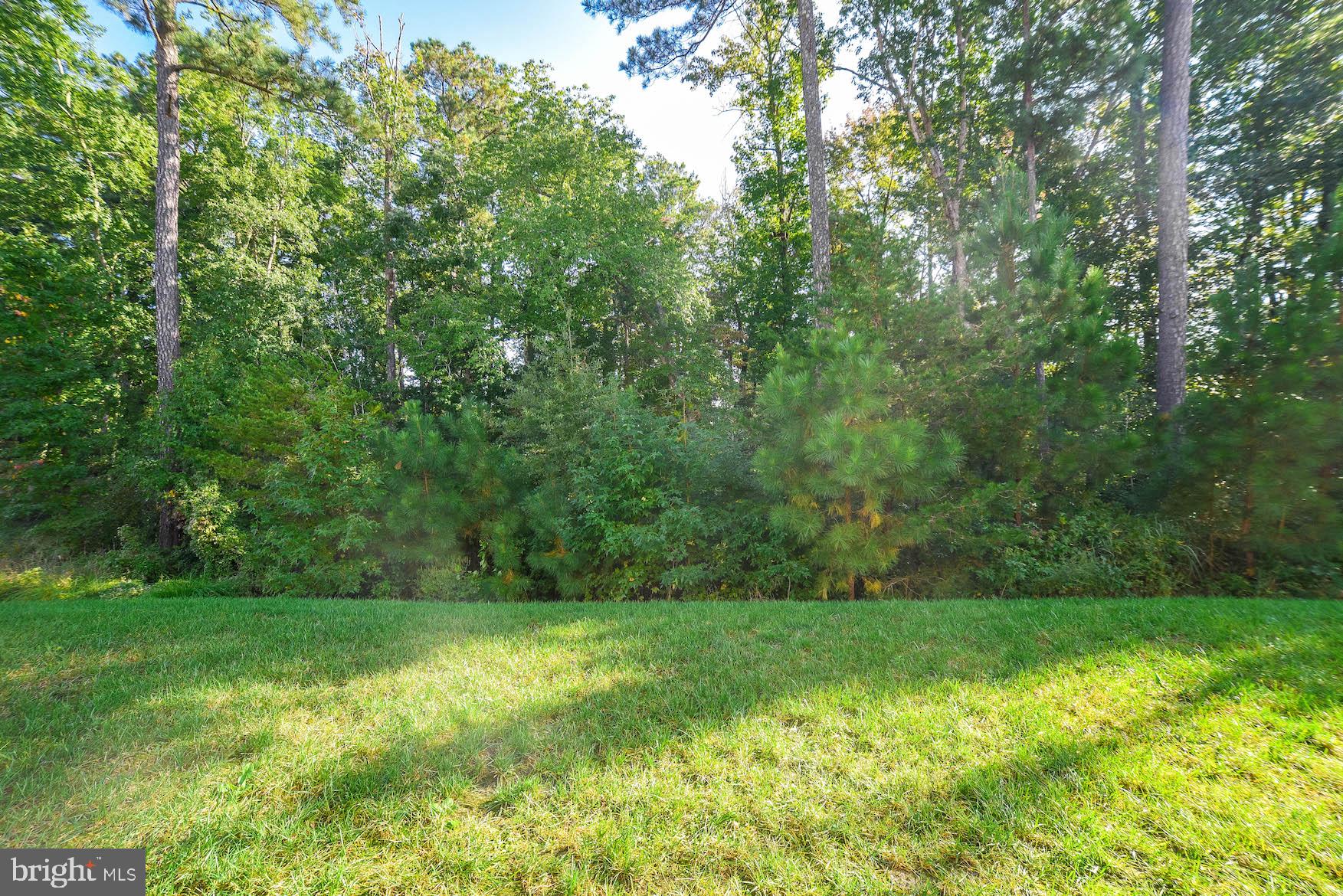 MAGNOLIA PARK AT WILDEWOOD - Residential