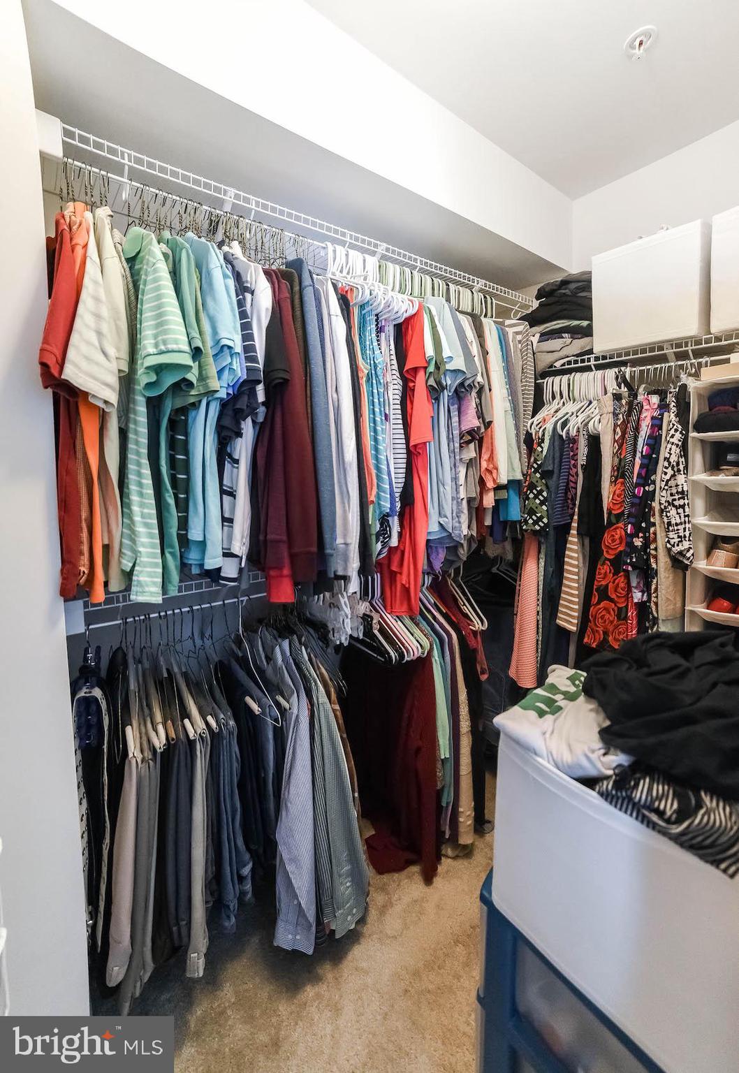 MAGNOLIA PARK AT WILDEWOOD - Residential