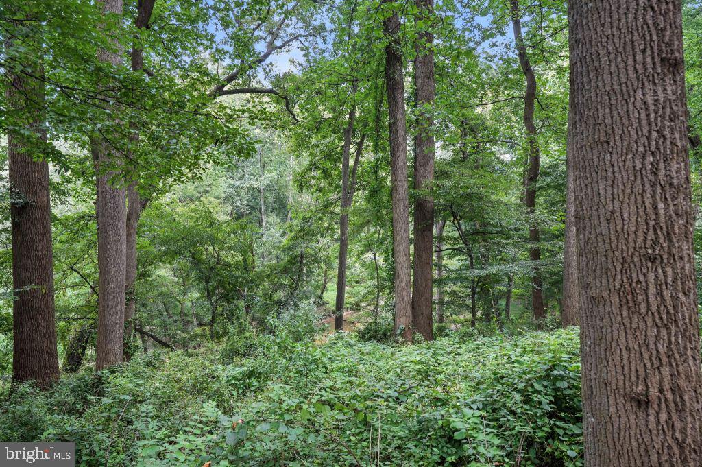 WINDSTONE - Residential