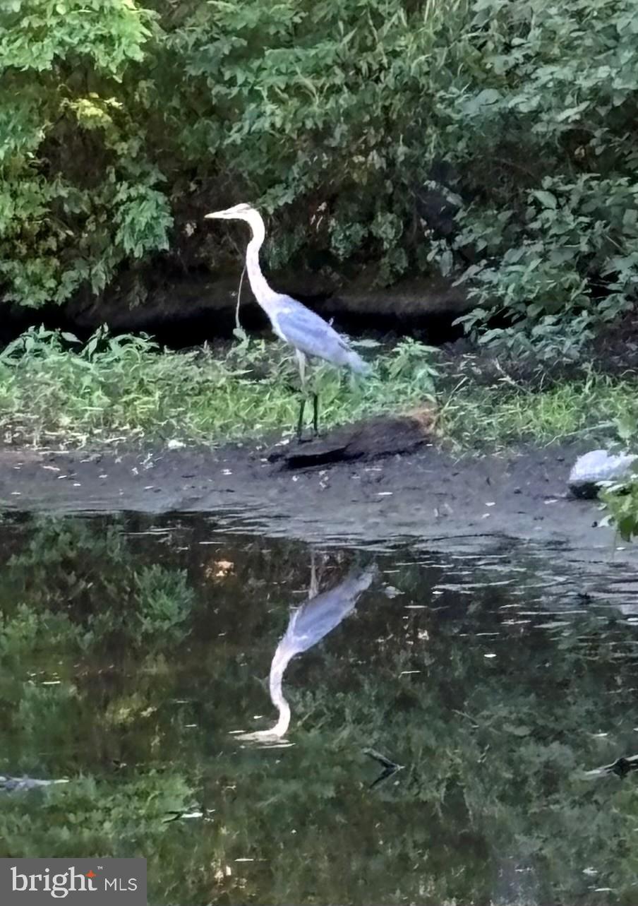 WILLOW BROOK - Residential