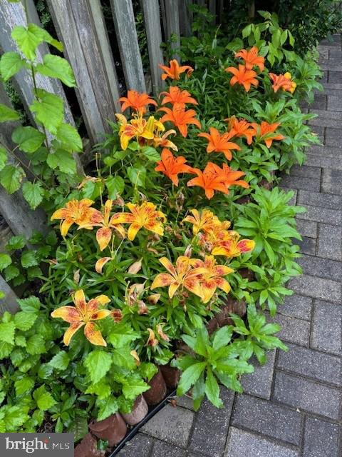 WILLOW BROOK - Residential