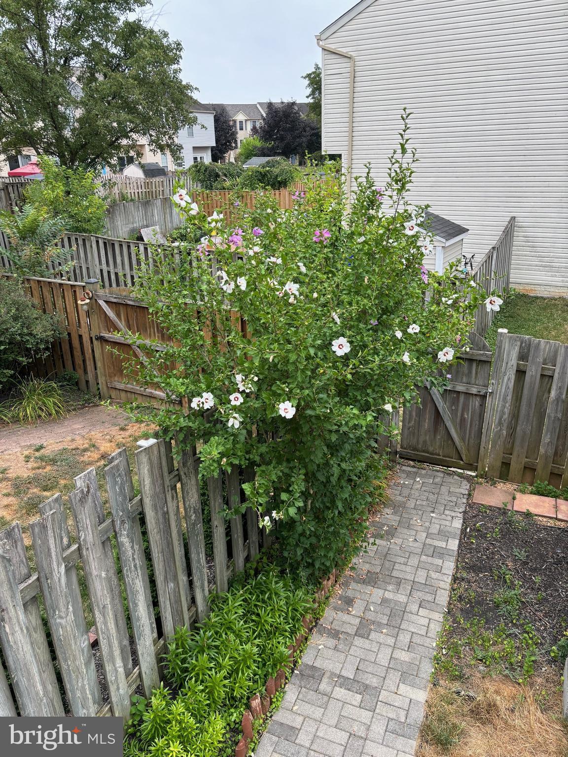 WILLOW BROOK - Residential