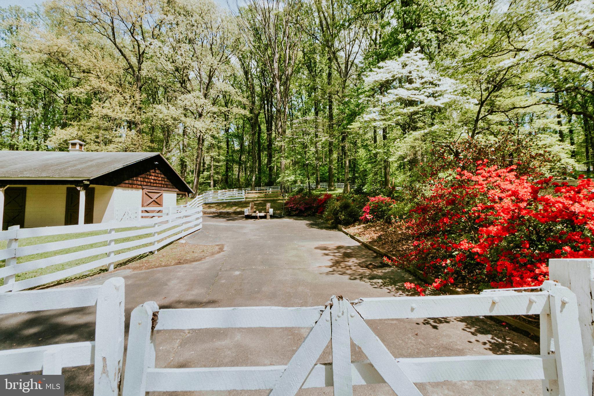 FERGUSON HAZEL T - Residential