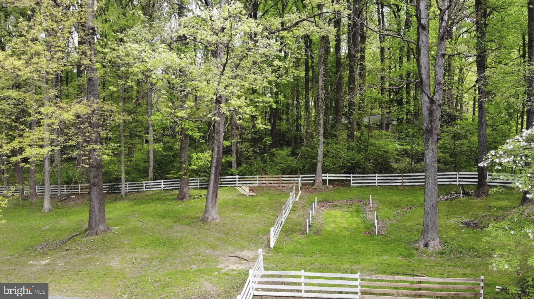 FERGUSON HAZEL T - Residential