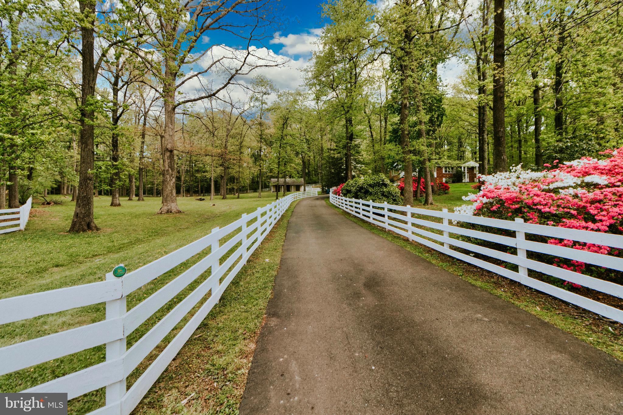 FERGUSON HAZEL T - Residential