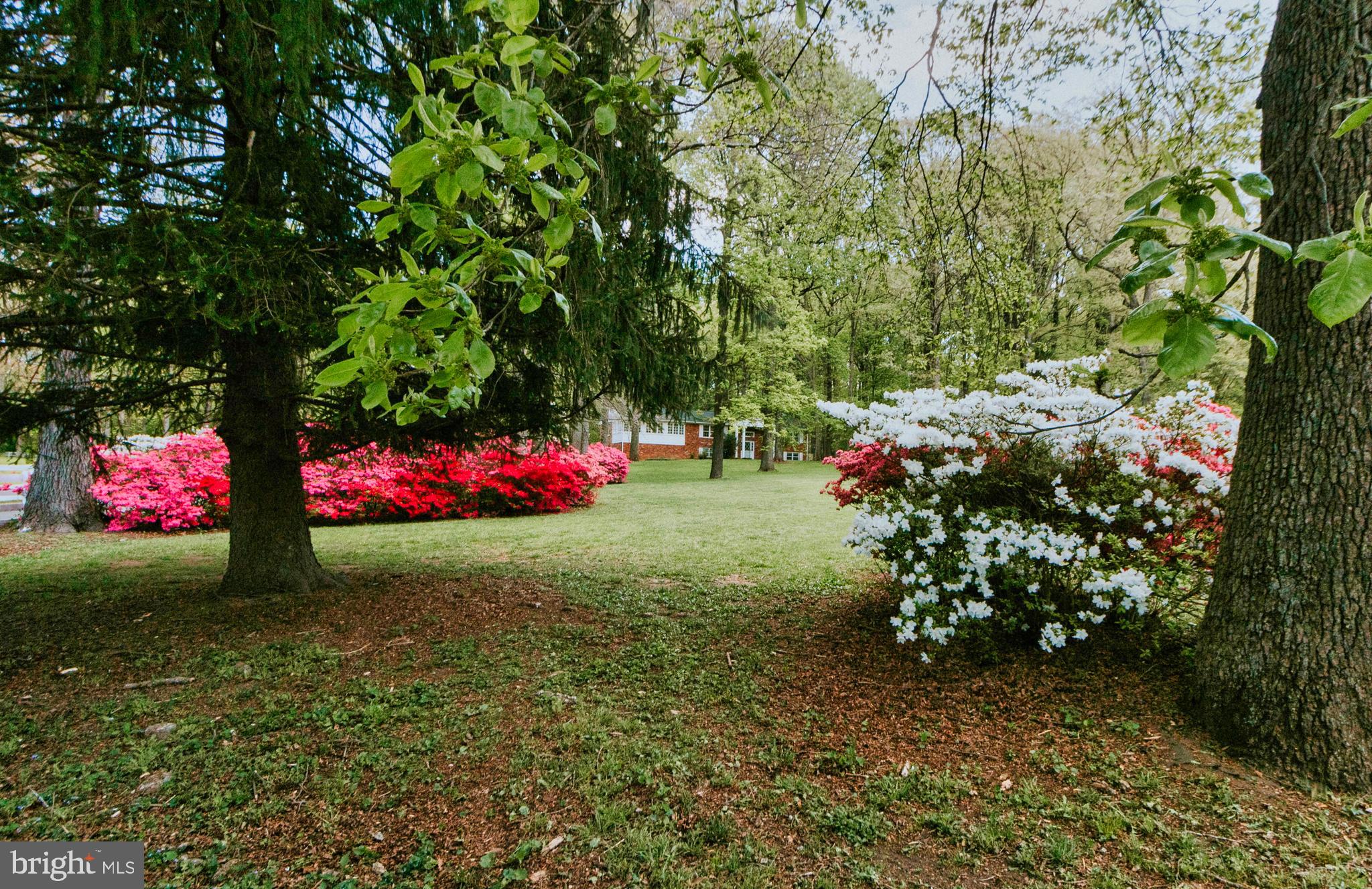 FERGUSON HAZEL T - Residential