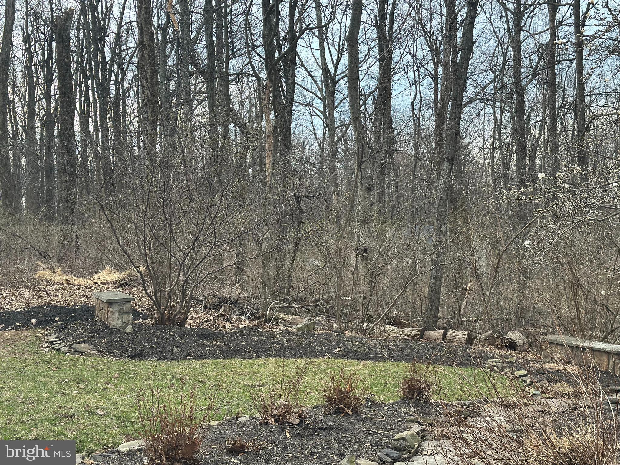 BLUE MOUNTAIN - Residential