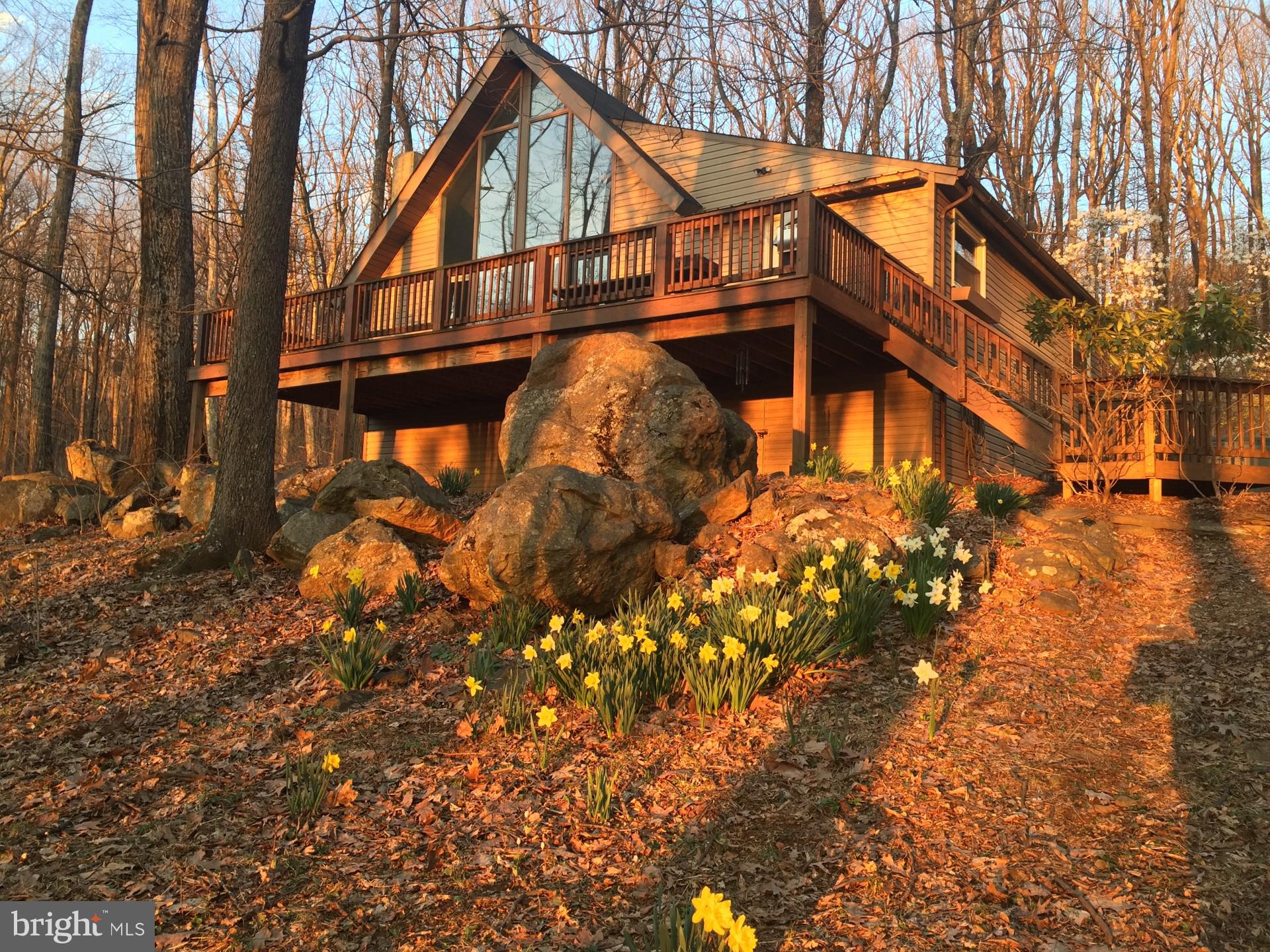 BLUE MOUNTAIN - Residential