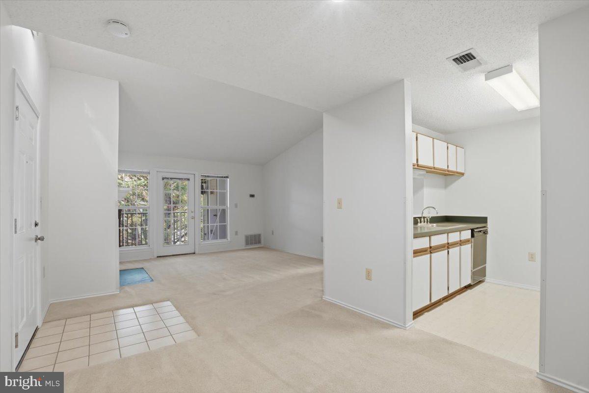 21009 TIMBER RIDGE TERRACE 304