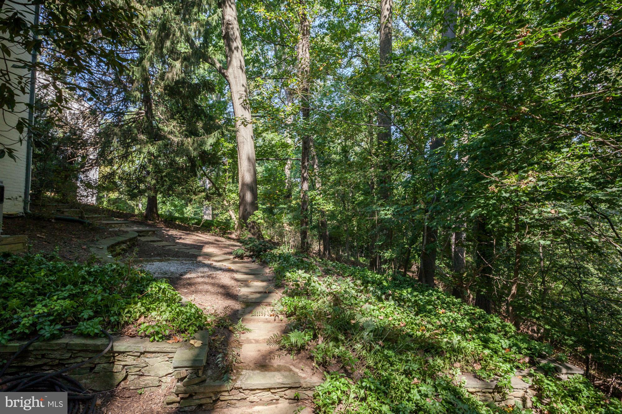 CHEVY CHASE - Residential