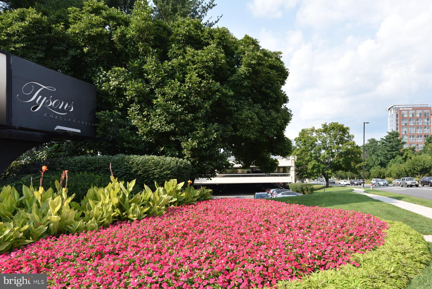 THE WESTERLIES - Residential Lease