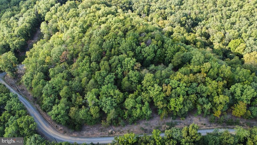 WELCOME TO LOT 3 IN THE RIDGES OF SOUTH BRANCH SUBDIVISION..WHERE IT'S JUST THAT-BEAUTIFUL ROLLING MOUNTAIN RIDGES CLOSE TO THE SOUTH BRANCH POTOMAC RIVER. BUILD, HUNT OR CAMP ON YOUR OWN 22+ ACRES. PUBLIC RIVER ACCESS IS A SHORT 10 MINUTE DRIVE FROM THE PROPERTY. THERE IS A ROAD TO ACCESS THE PROPERTY FROM THE MAIN SUBDIVISION ROAD, THISTLE RIDGE. PROPERTY LINES ARE MARKED. TRAVELING FROM OR TO CUMBERLAND, MD IS A SHORT 35 MINUTES AND LESS THAN 2.5 HRS TO DC/METRO AREAS. WILDLIFE IS ABUNDANT- DEER, TURKEY, SQUIRREL, BALD EAGLES... COME TO WV AND EXPERIENCE WHAT NATURES TRULY HAS TO OFFER!