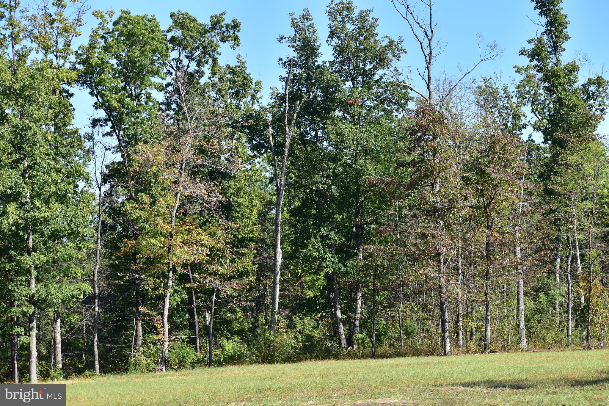 Lot 1 (128.556 Acres) LAUREL GROVE ROAD