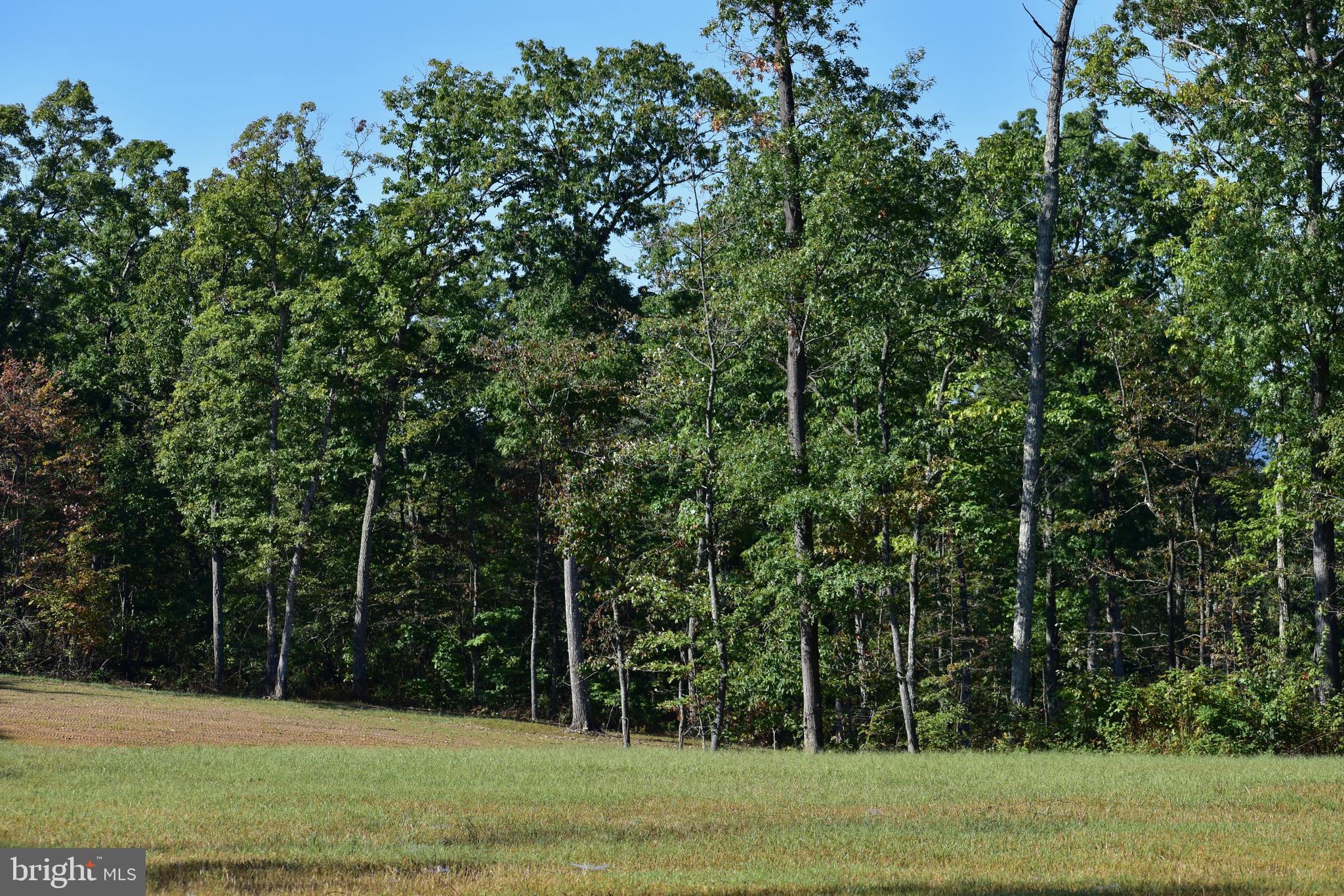 Lot 1 (128.556 Acres) LAUREL GROVE ROAD