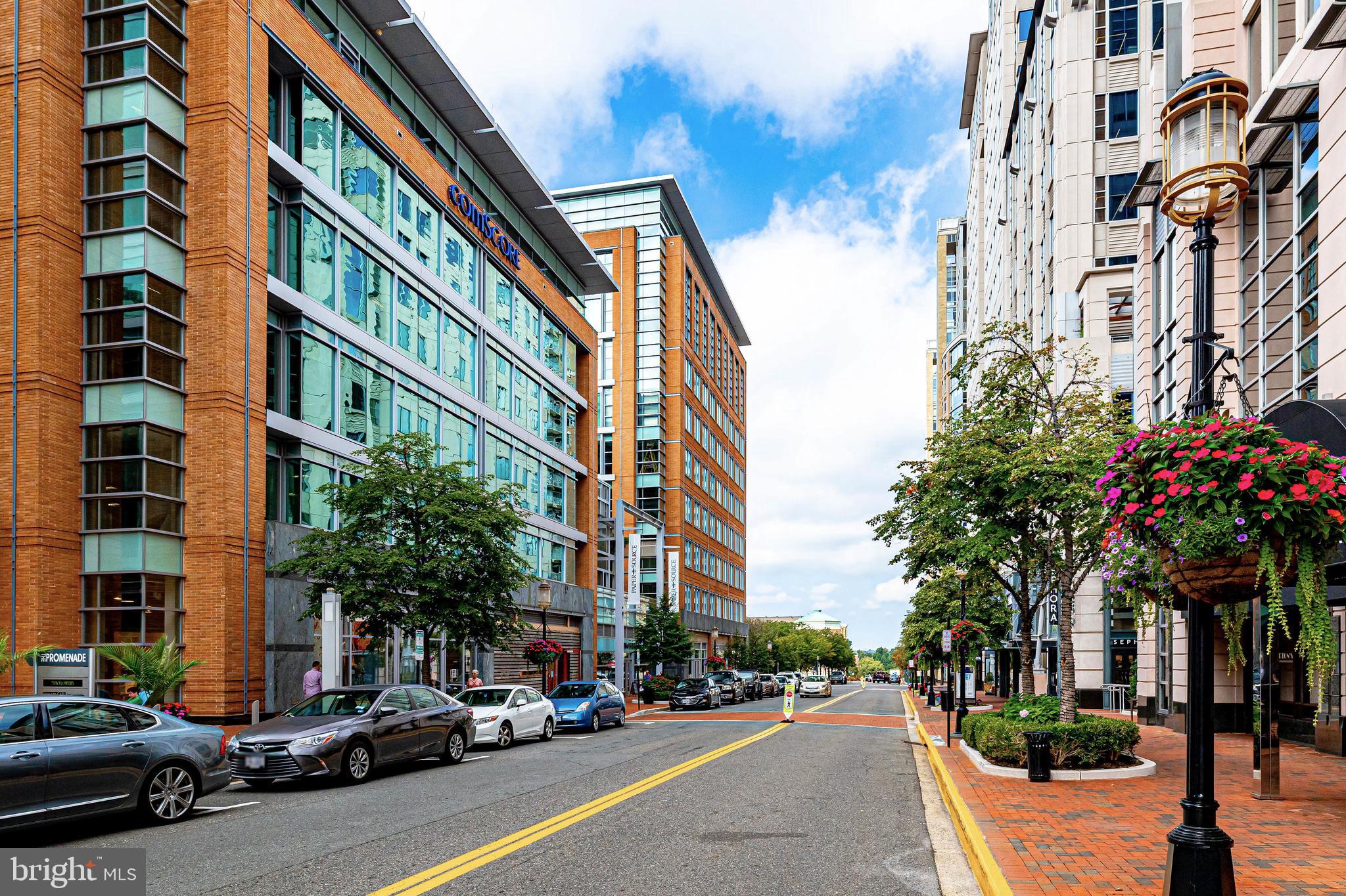 SAVOY AT RESTON TOWN CENTER - Residential
