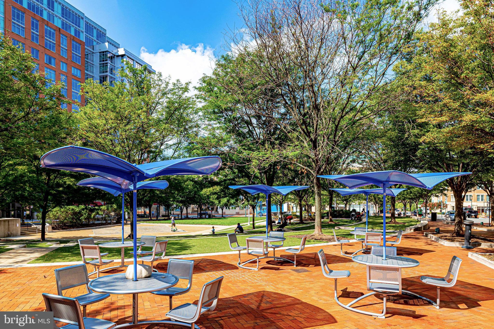 SAVOY AT RESTON TOWN CENTER - Residential