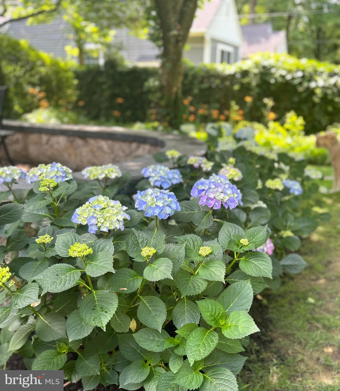 ARBORLEA - Residential