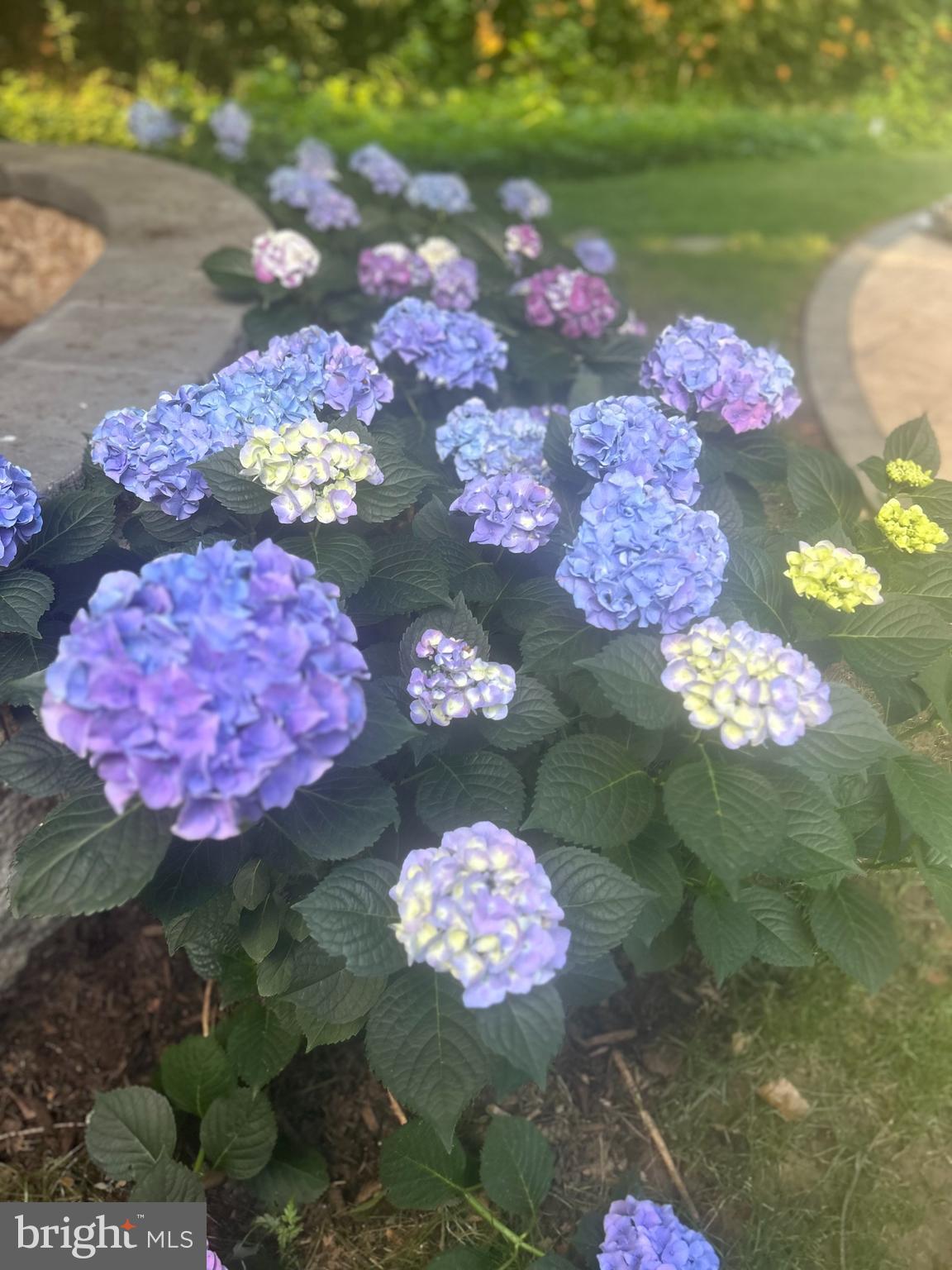 ARBORLEA - Residential