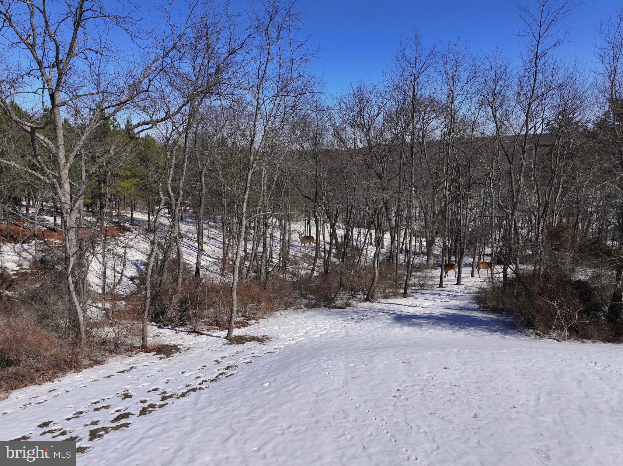 MONROE TOWNSHIP - Residential