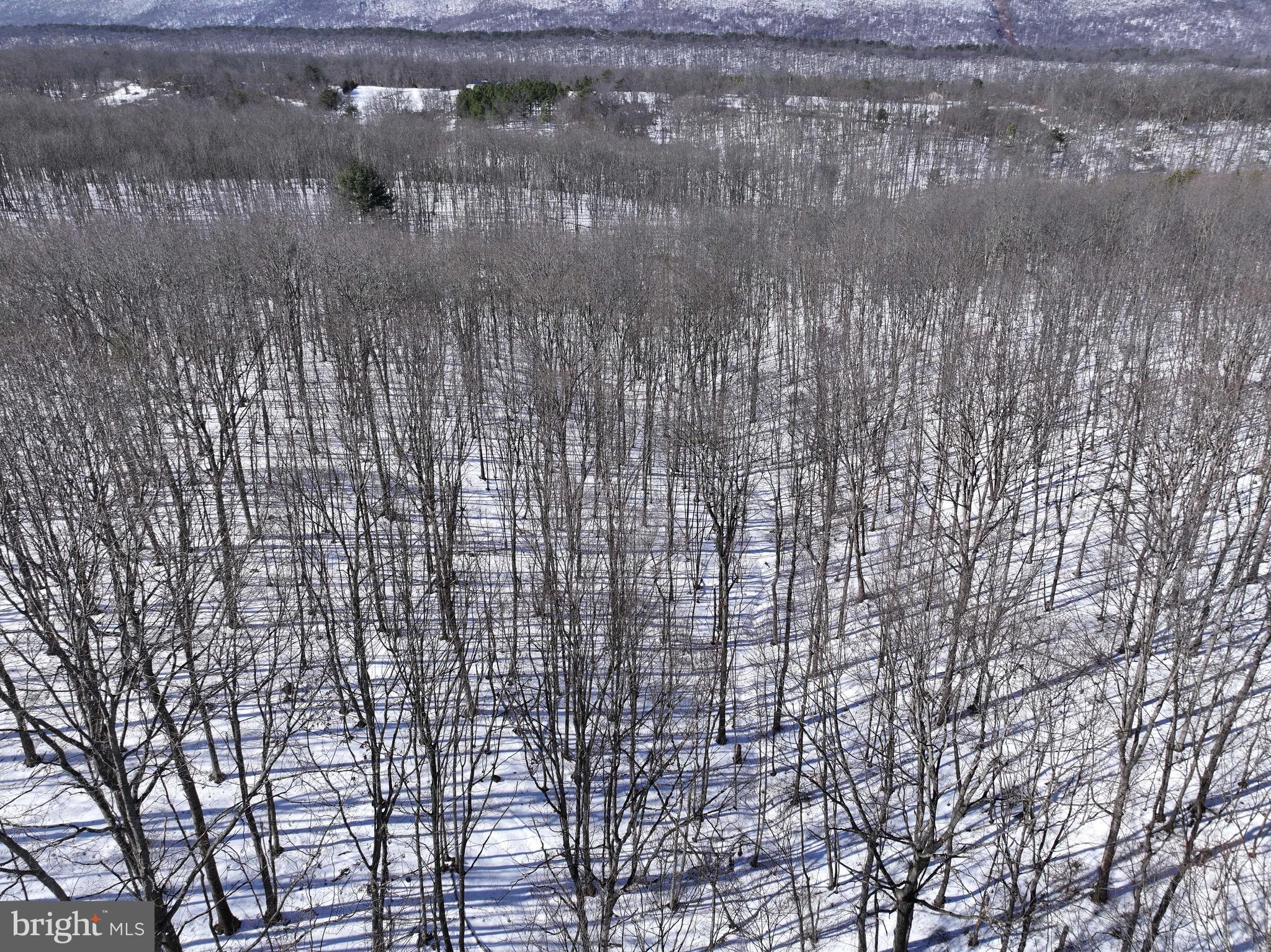 MONROE TOWNSHIP - Residential