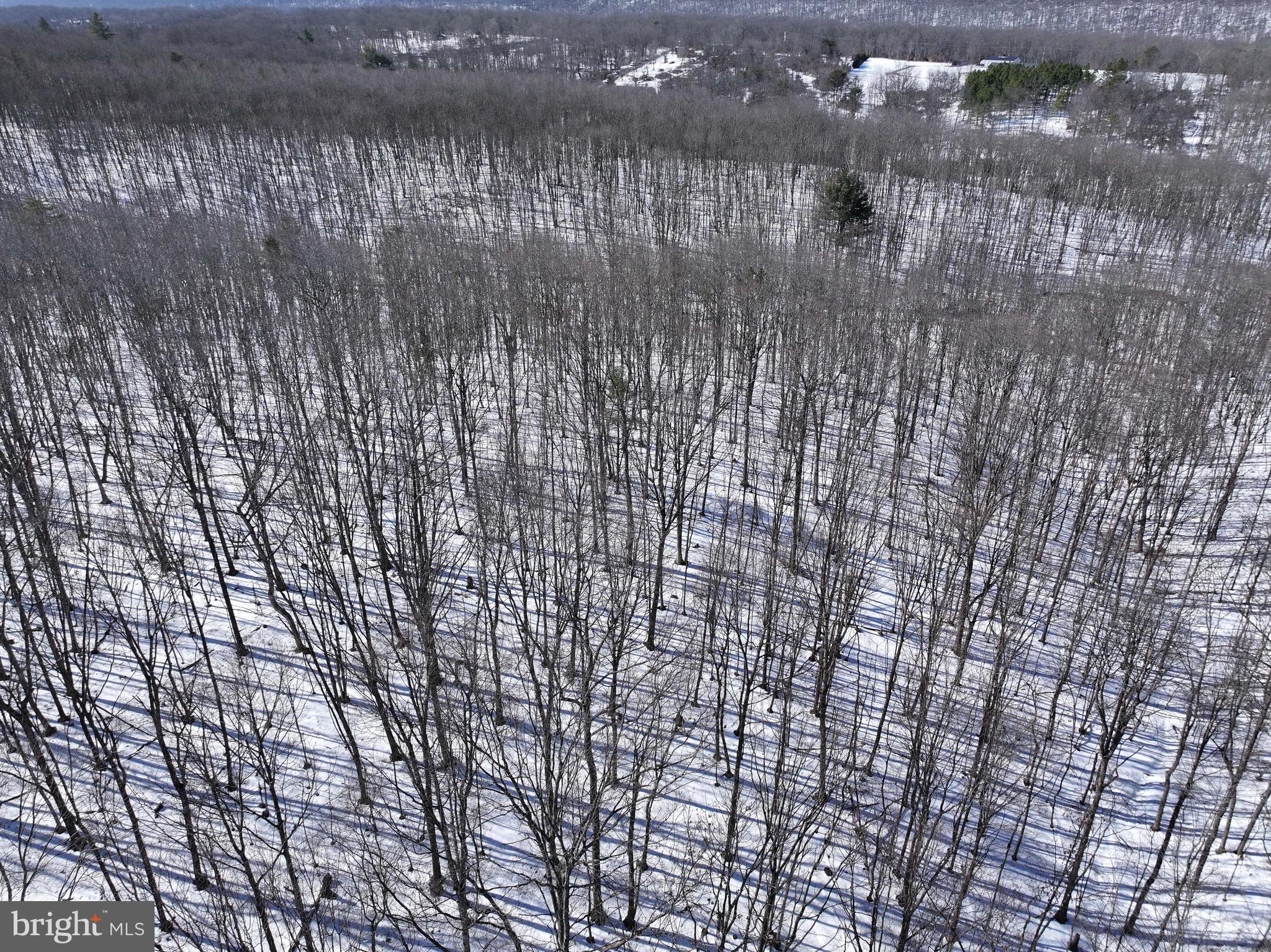 MONROE TOWNSHIP - Residential