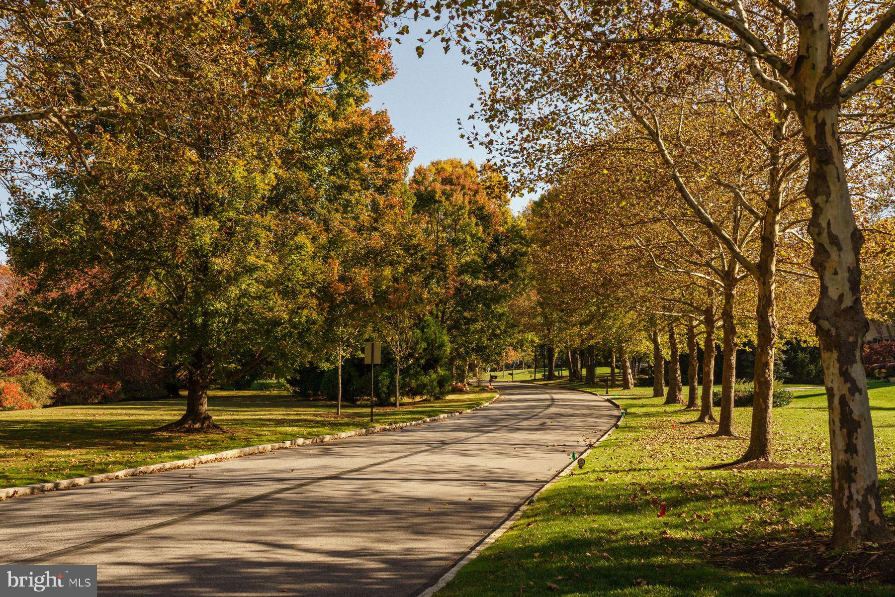 BRYN MAWR - Residential