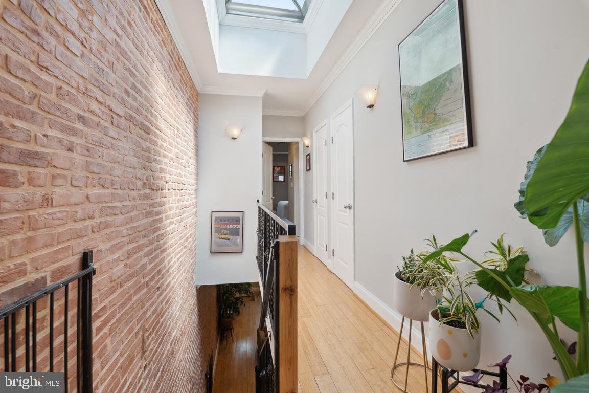 PATTERSON PARK - Residential