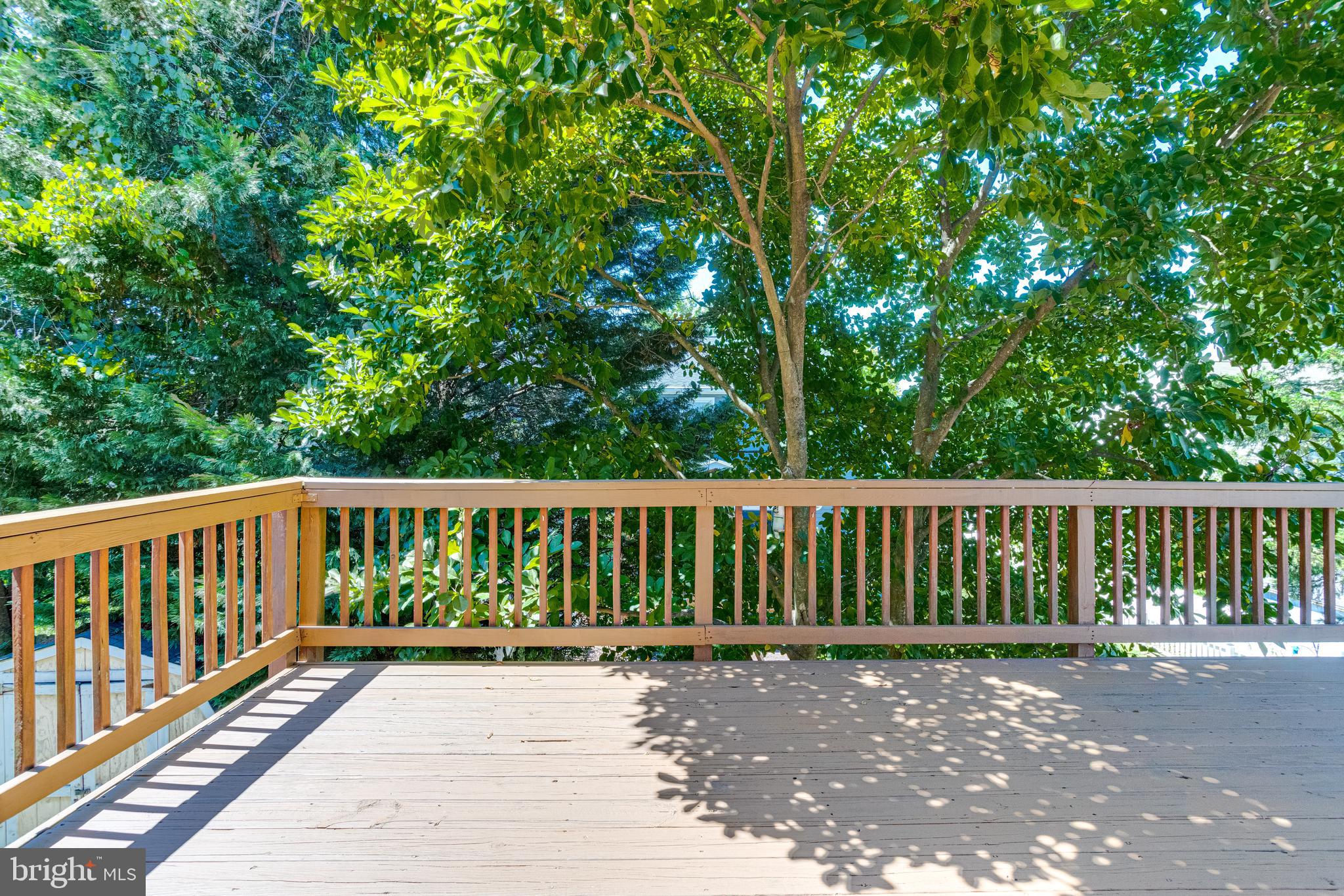 QUEENS PARK - Residential