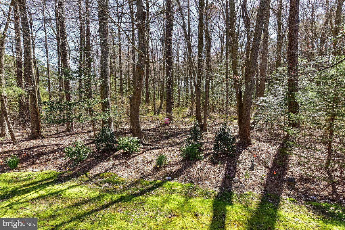 OCEAN PINES - THE PARKE - Residential