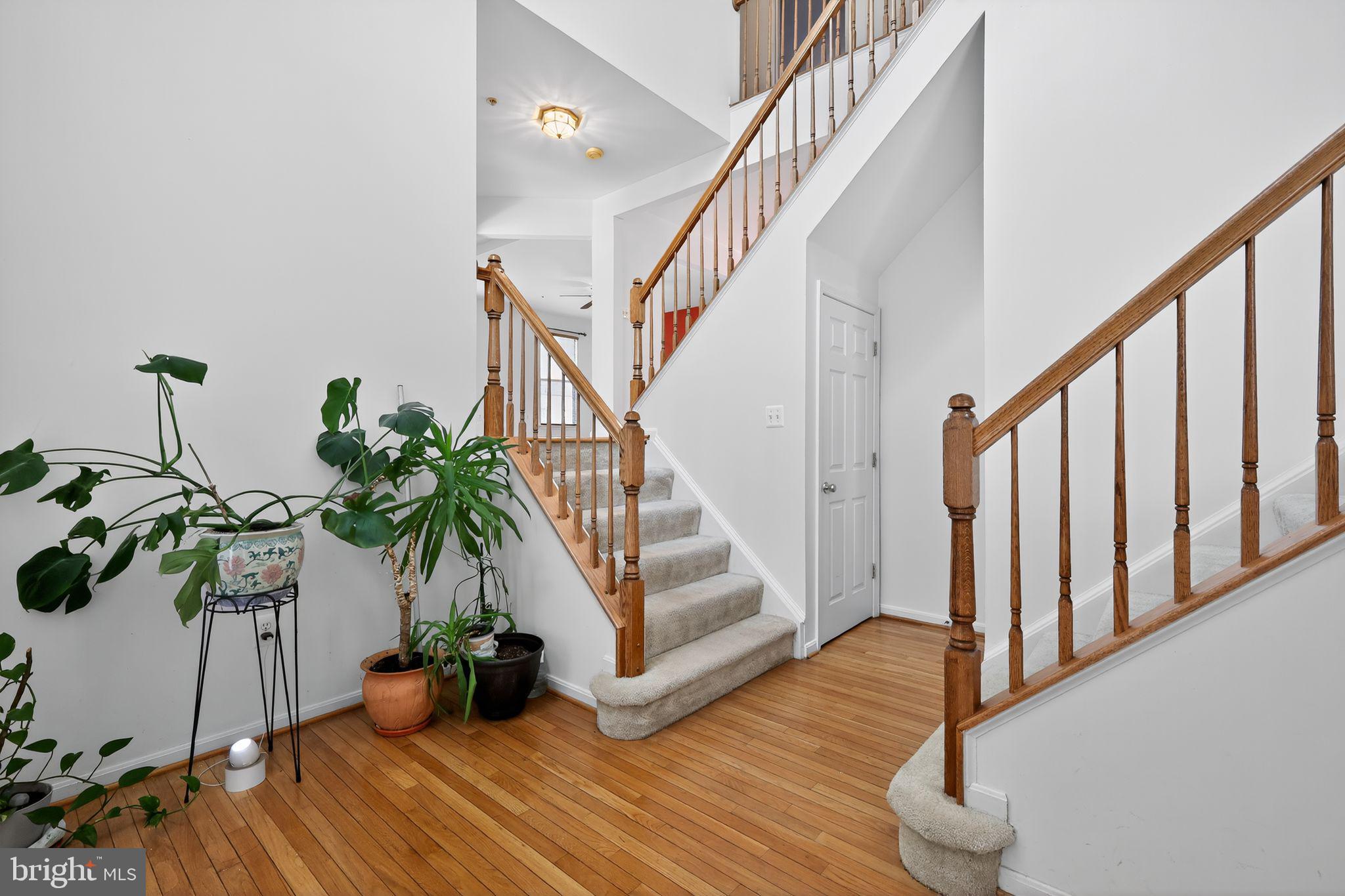 1603 SARATOGA COURT