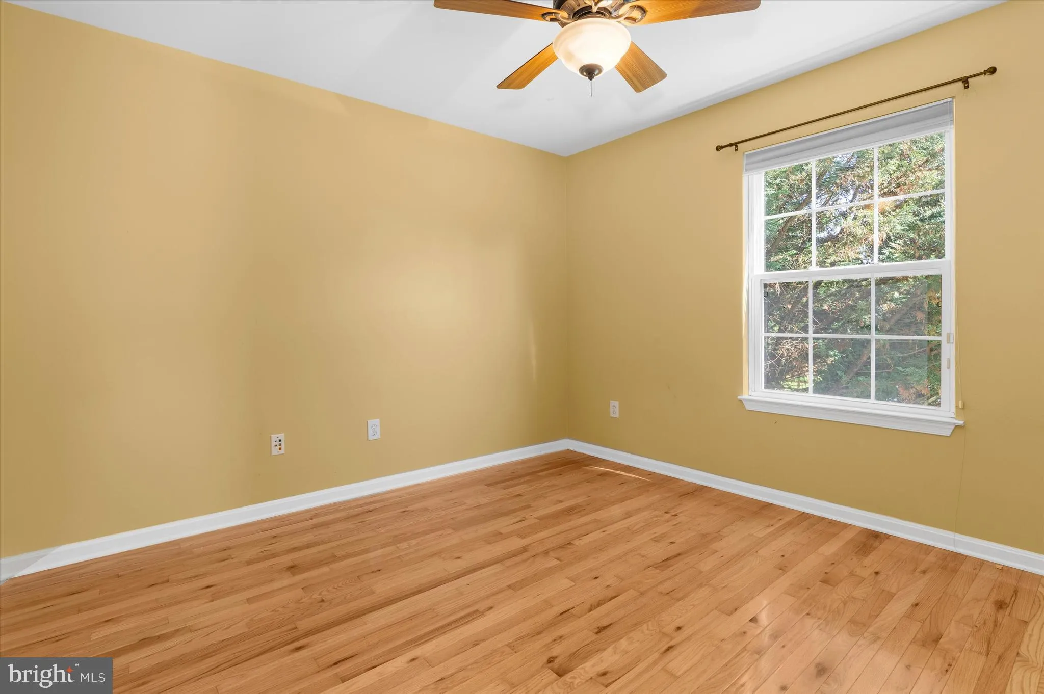 Additional image 91 of 213 Ariel Avenue, Cecilton, MD 21913