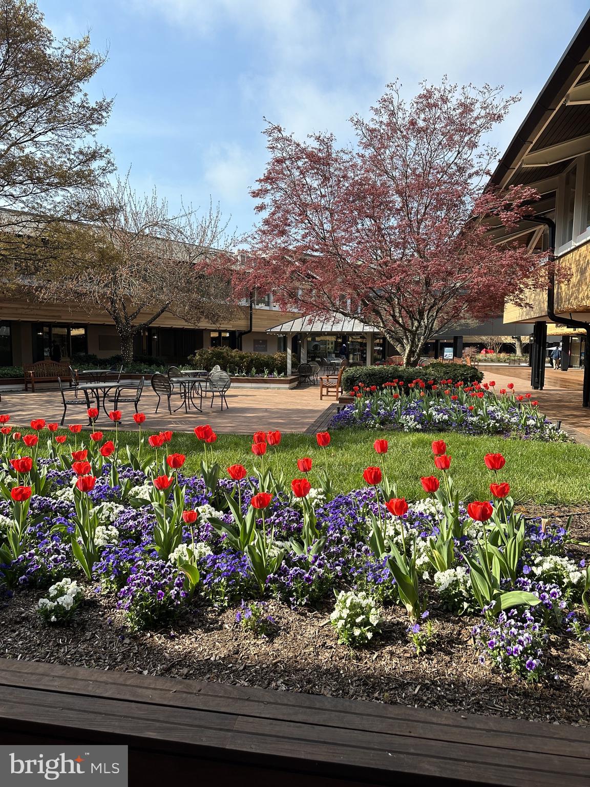 VILLAGE OF CROSS KEYS - Residential