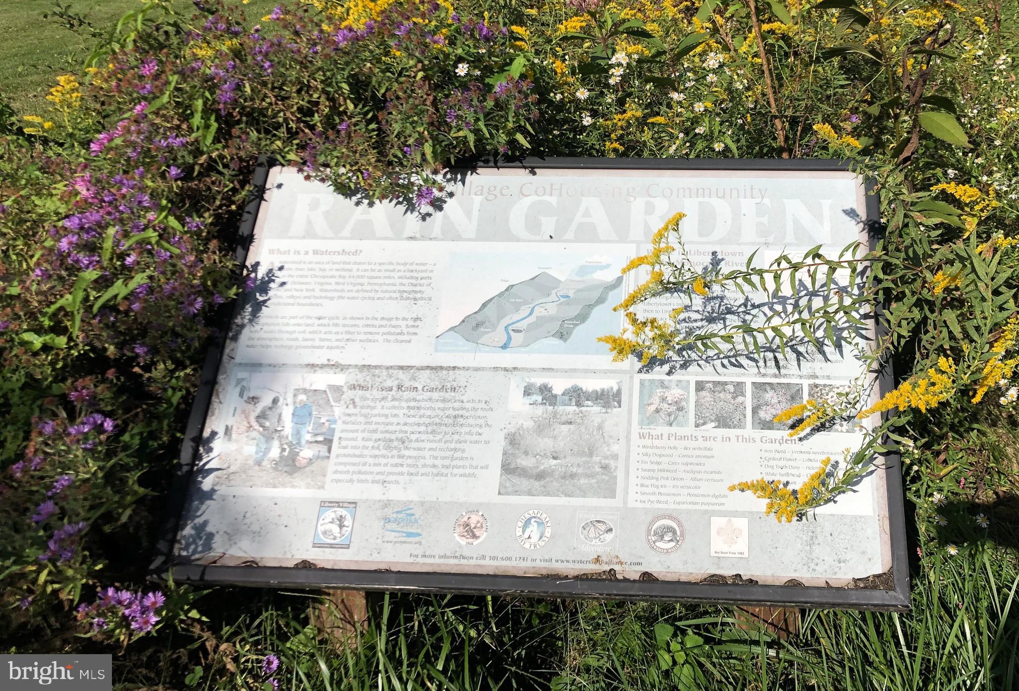 LIBERTY VILLAGE - Residential