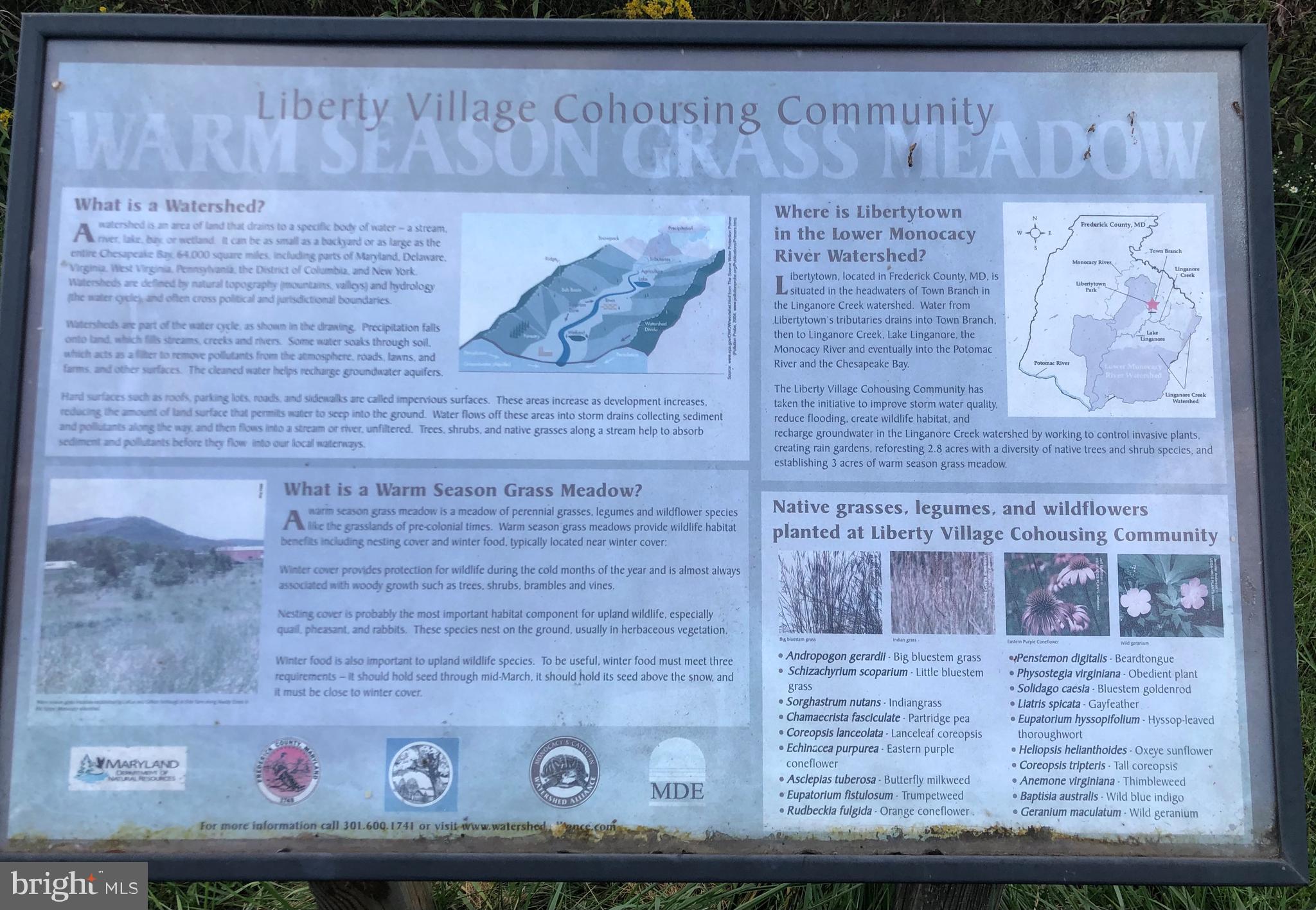 LIBERTY VILLAGE - Residential