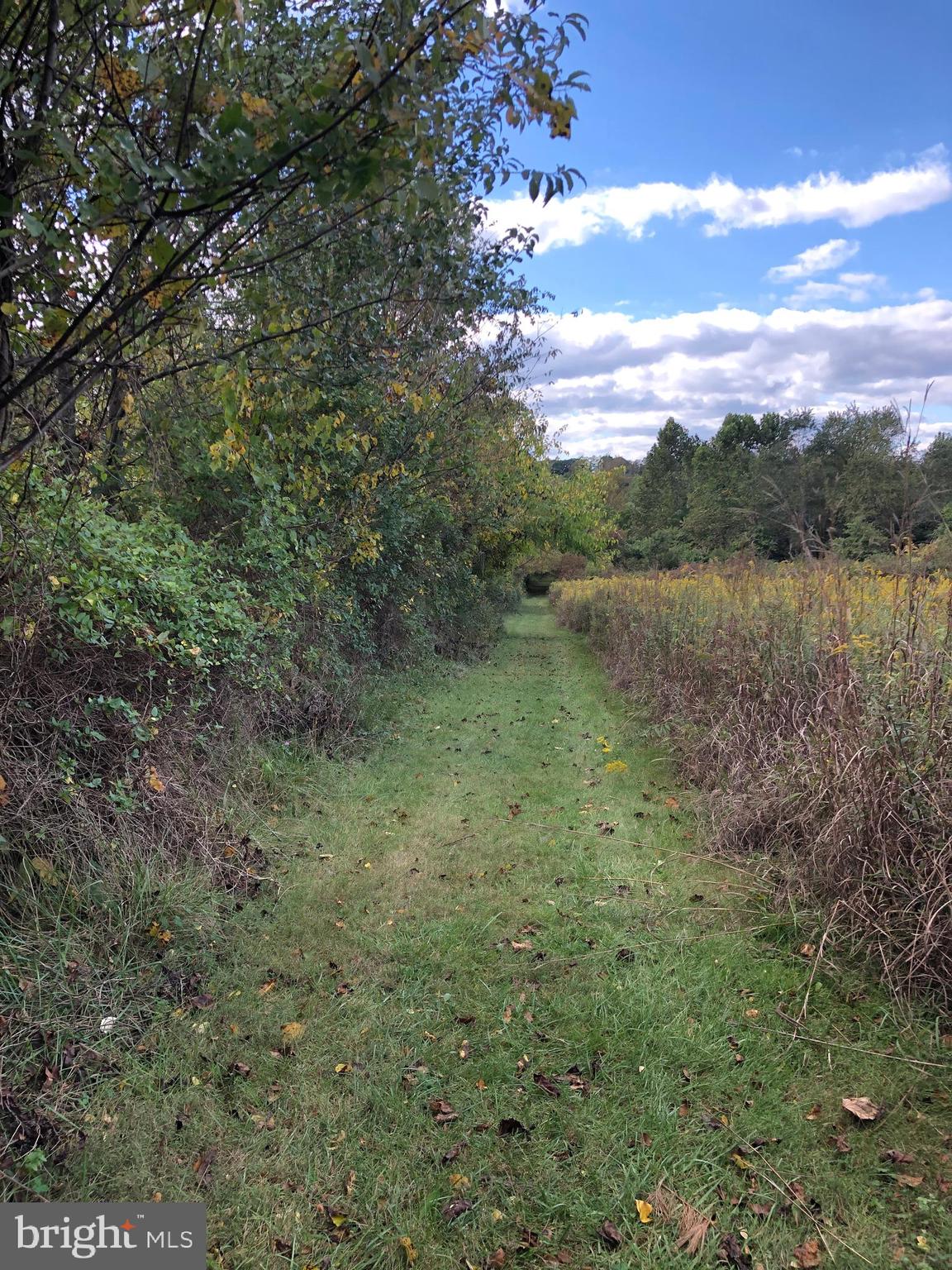 LIBERTY VILLAGE - Residential