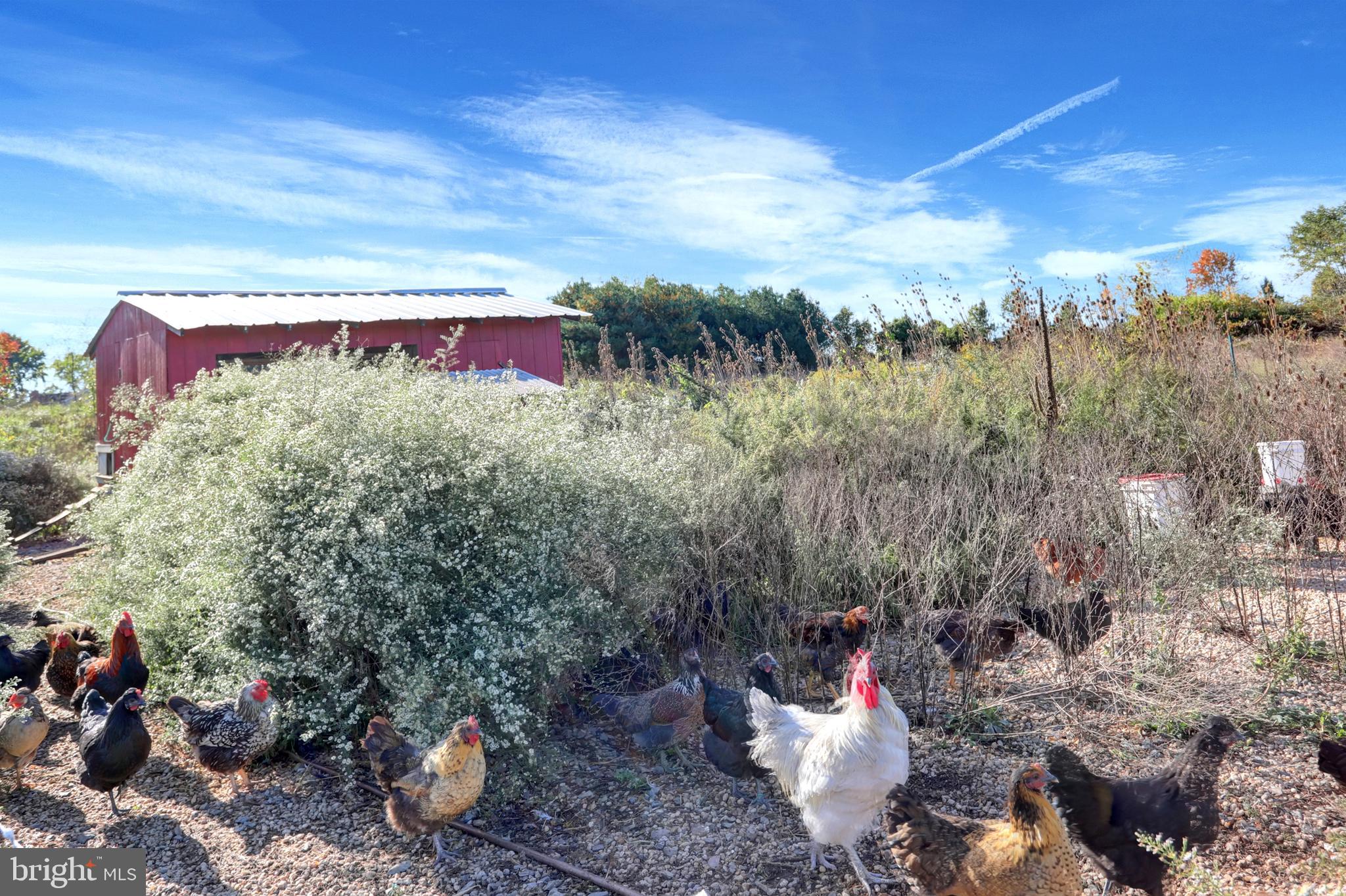LIBERTY VILLAGE - Residential