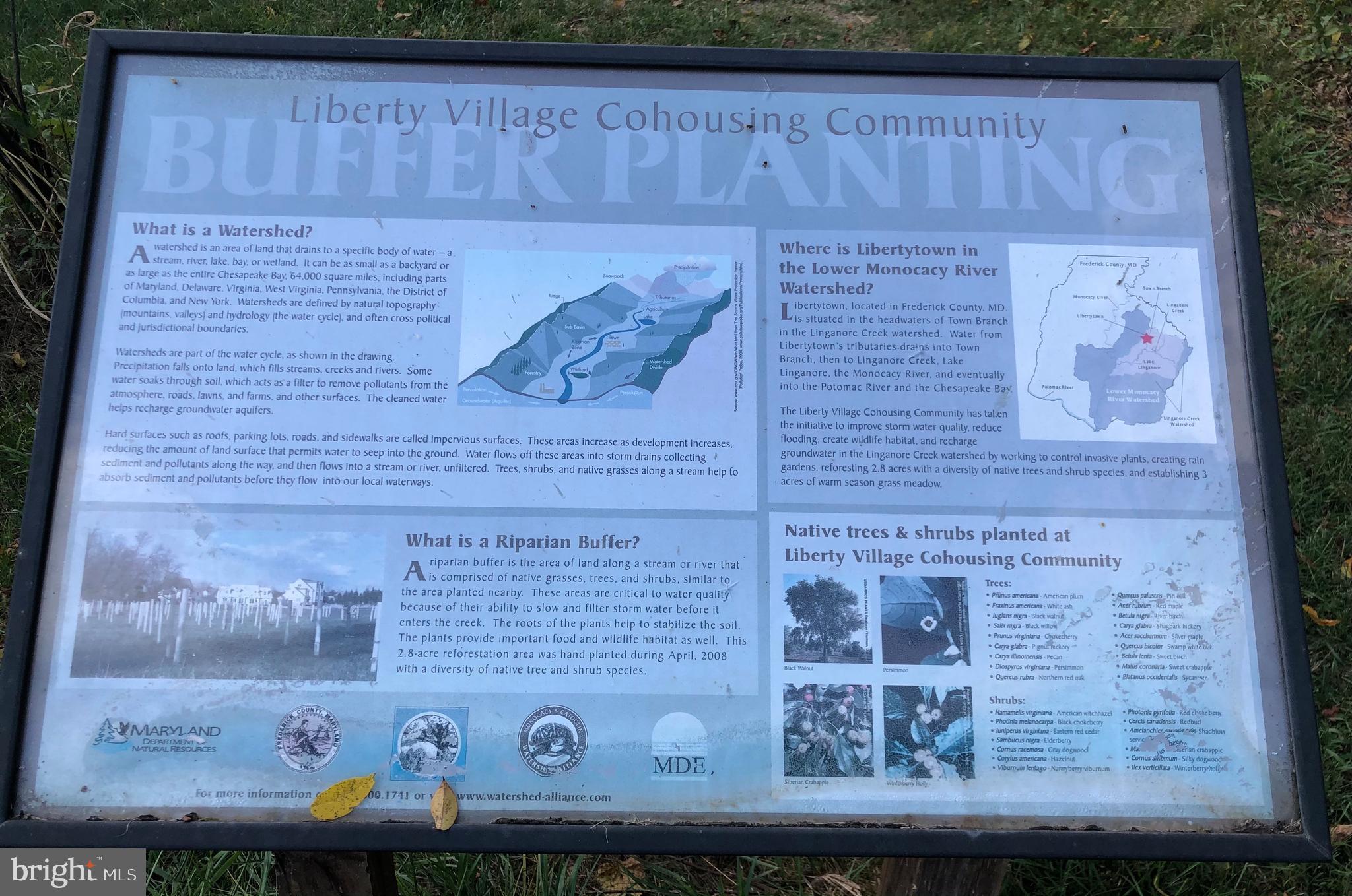 LIBERTY VILLAGE - Residential