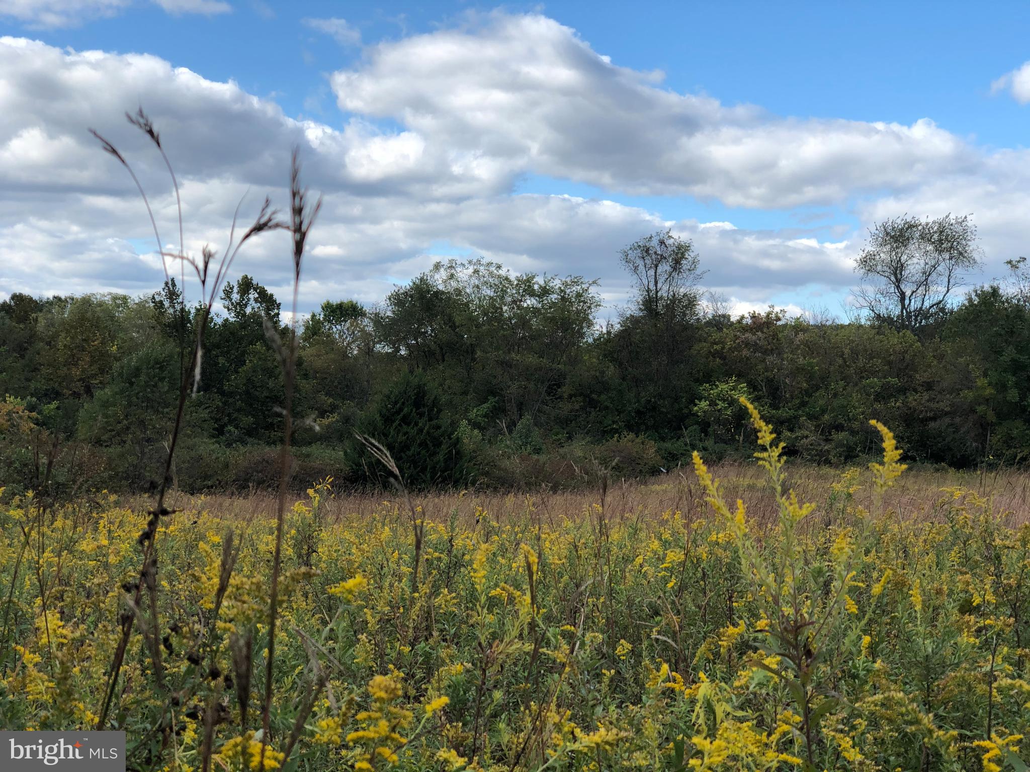 LIBERTY VILLAGE - Residential