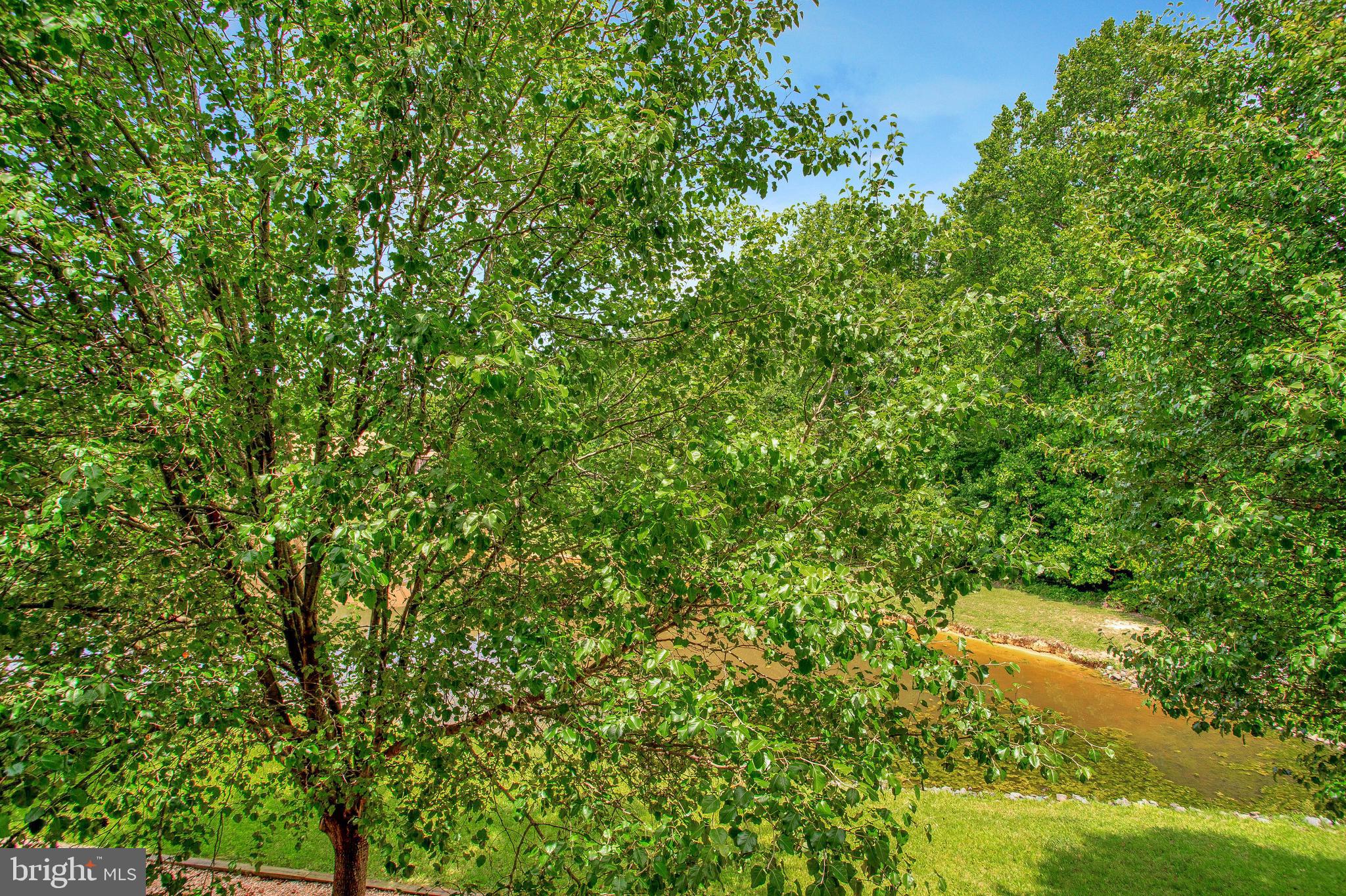 WILDEWOOD - Residential